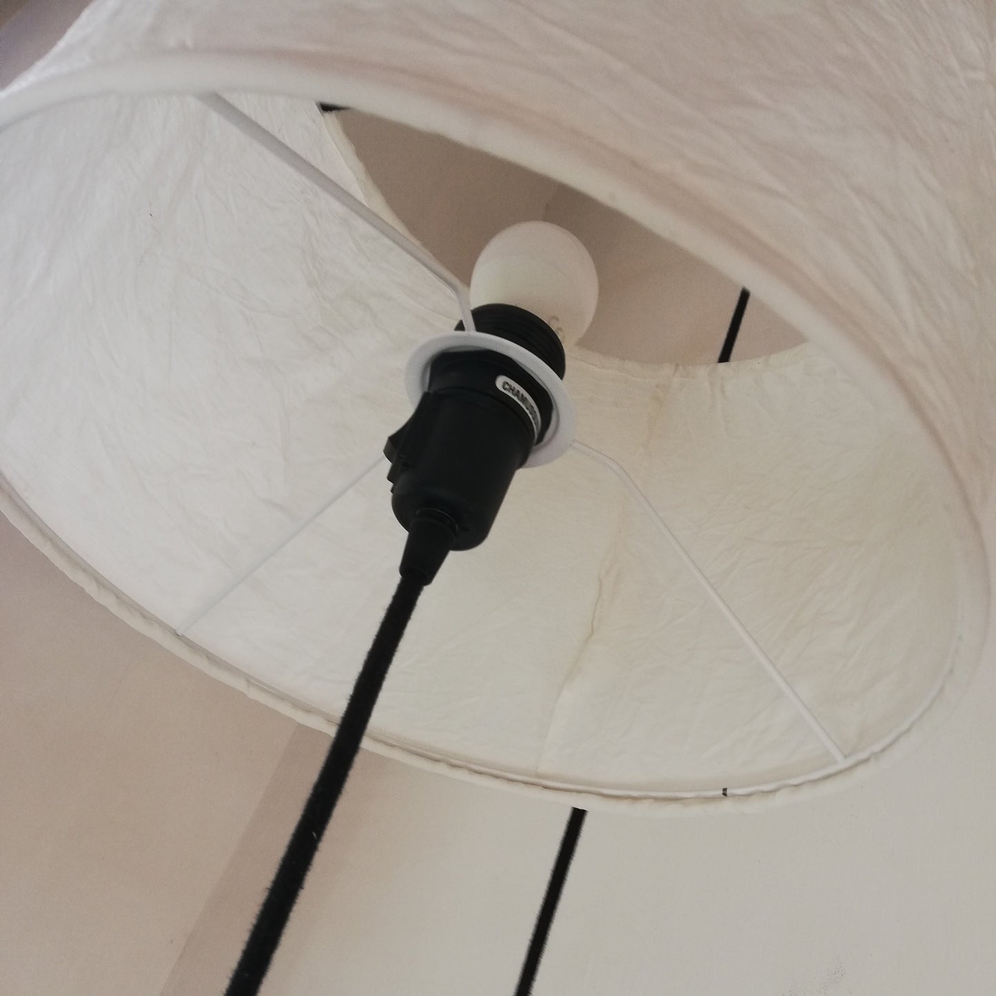 BAUM lamp